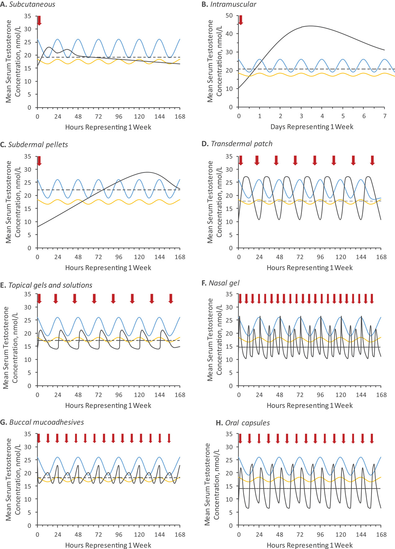 Figure 1 · Testosterone curves from the publication